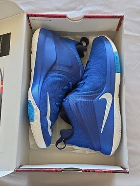 Nike Royal Blue Basketball Shoes with White Swoosh